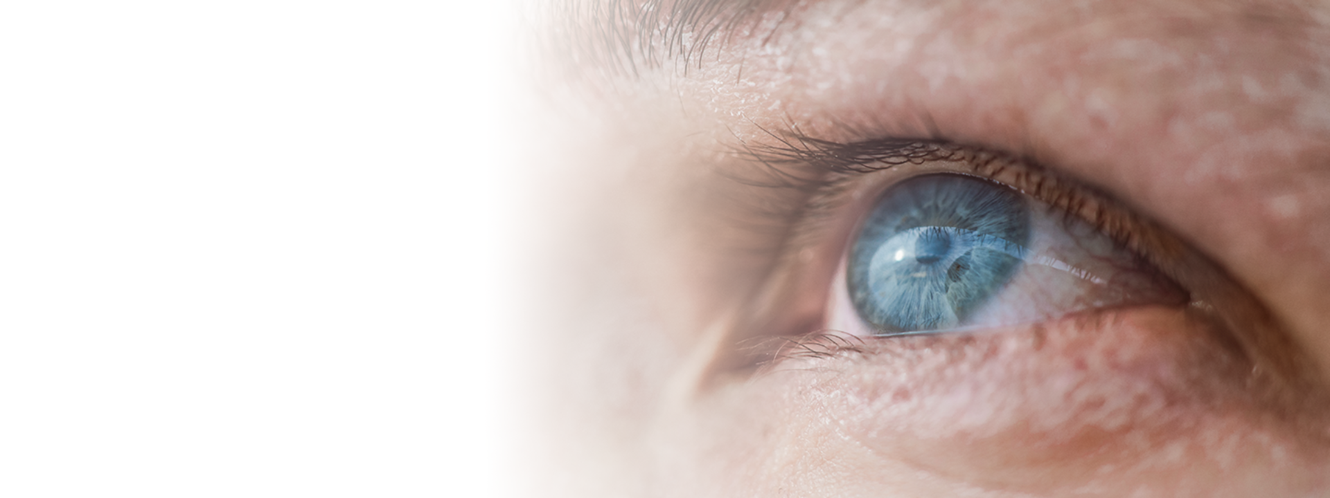 Header Sky Vision